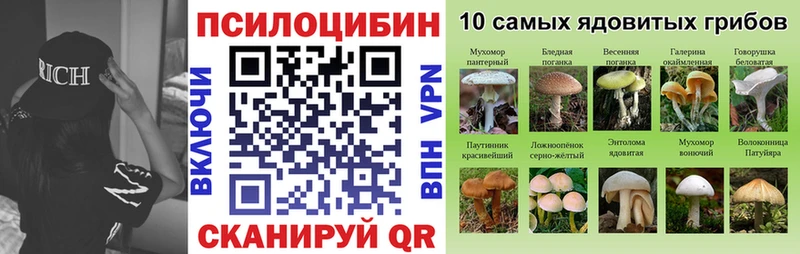 Купить  Красногорск  Галлюциногенные грибы прущие грибы 